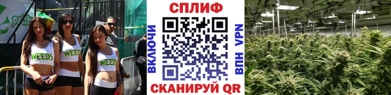 блэк спрут зеркало  Белореченск  МАРИХУАНА Bruce Banner 